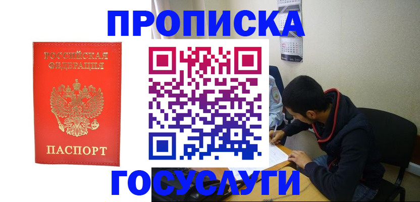 где прописаться в Коле